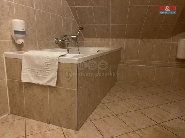 Pronájem bytu 4+kk, Plzeň - Vnitřní Město, Zbrojnická, 110 m2