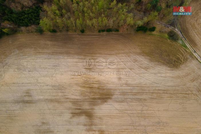 Prodej zemědělské půdy, Předenice, 5839 m2