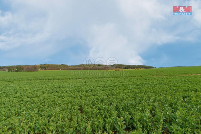 Prodej zemědělské půdy, Čižice, 5653 m2