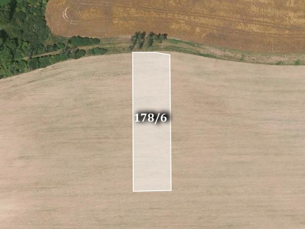 Prodej zemědělské půdy, Šípy, 5724 m2
