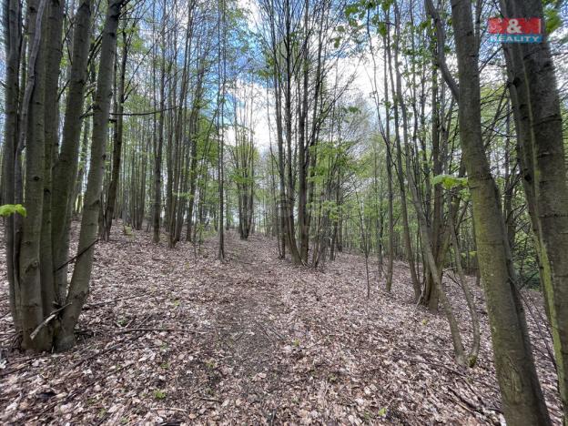 Prodej zahrady, Chrastava - Andělská Hora, 2545 m2