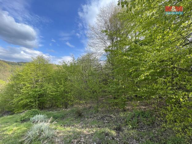 Prodej zahrady, Chrastava - Andělská Hora, 2545 m2