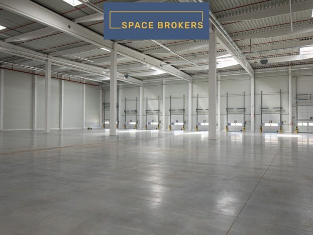 Pronájem skladu, Mikulov, 12000 m2