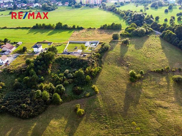 Prodej louky, Česká Lípa, 1212 m2