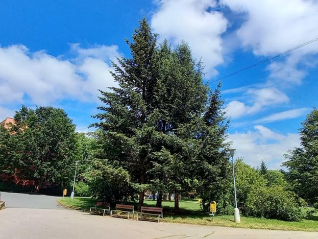 Prodej bytu 2+1, Brno, Kunštátská, 62 m2