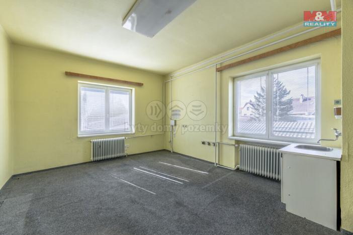 Prodej výrobních prostor, Kostelec nad Labem - Jiřice, K Labi, 1350 m2