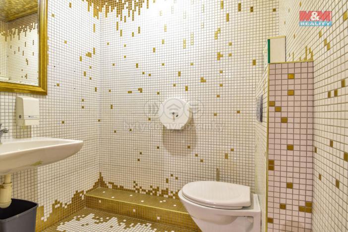 Pronájem obchodního prostoru, Ostrava - Hrabůvka, Horní, 250 m2