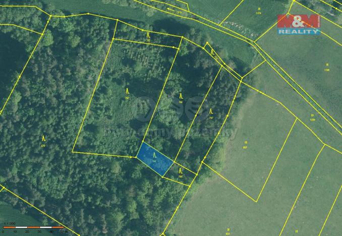 Prodej lesa, Kváskovice, 3555 m2