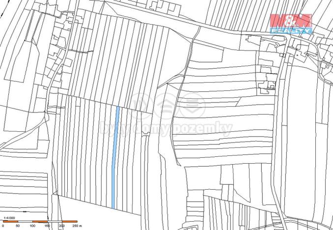 Prodej lesa, Dražíč, 6005 m2