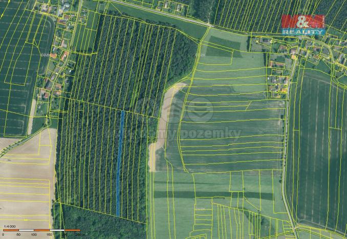 Prodej lesa, Dražíč, 6005 m2