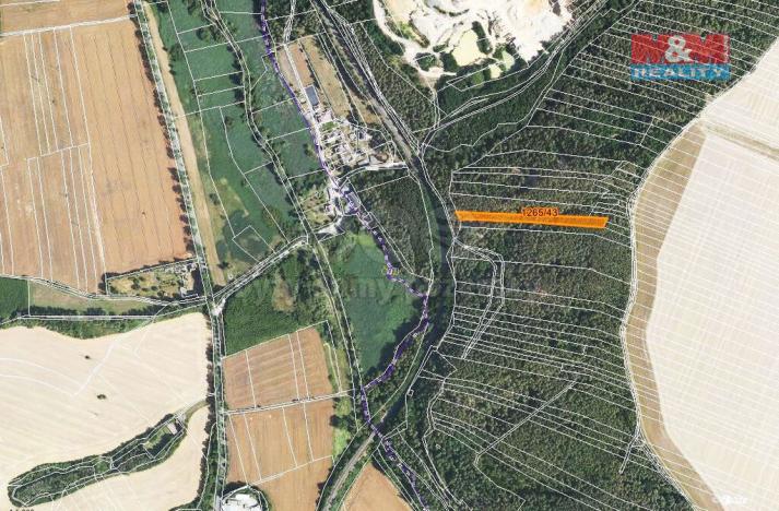 Prodej lesa, Lužná, 3507 m2