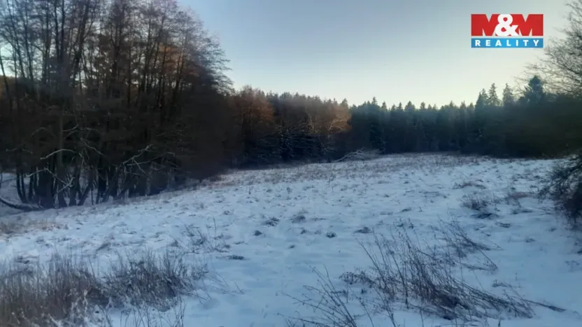 Prodej trvalého travního porostu, Oselce - Kotouň, 19732 m2