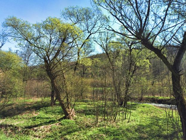 Prodej trvalého travního porostu, Odry, 1461 m2