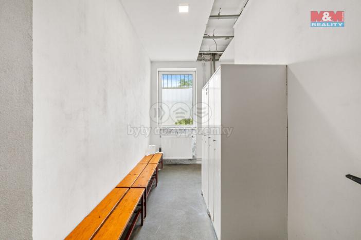 Prodej obchodního prostoru, Ústí nad Labem - Střekov, Truhlářova, 3086 m2