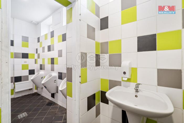 Prodej obchodního prostoru, Ústí nad Labem - Střekov, Truhlářova, 3086 m2