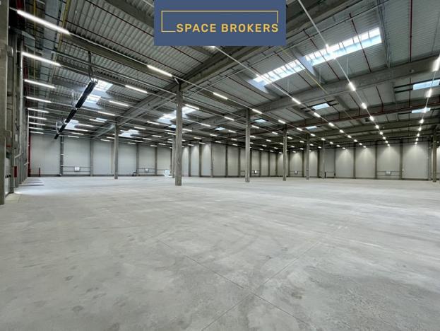 Pronájem skladu, Pardubice, 7823 m2