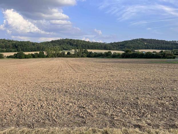 Prodej pozemku pro komerční výstavbu, Čebín, 4406 m2