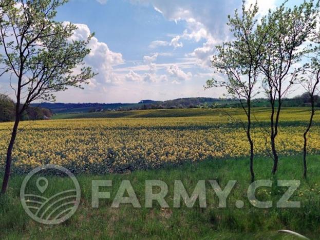 Prodej zemědělské půdy, Snědovice, 60858 m2