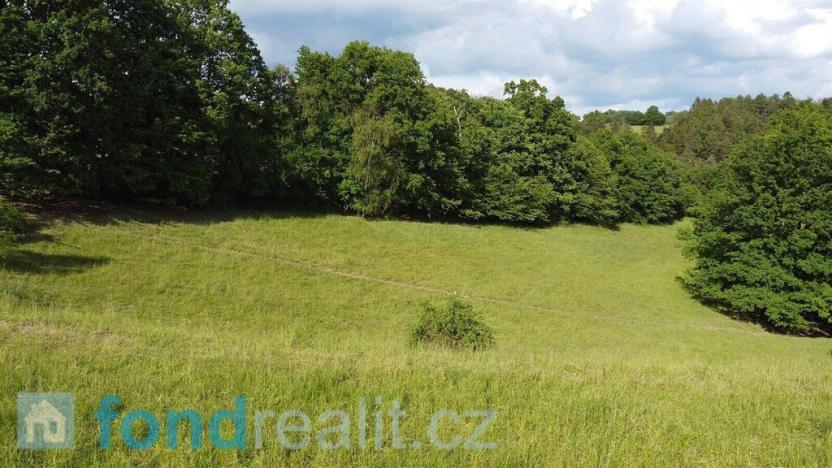 Prodej zemědělské půdy, Zábřeh, 2481 m2