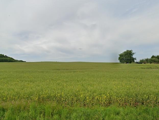 Pronájem zemědělské půdy, Rohovládova Bělá, 363145 m2