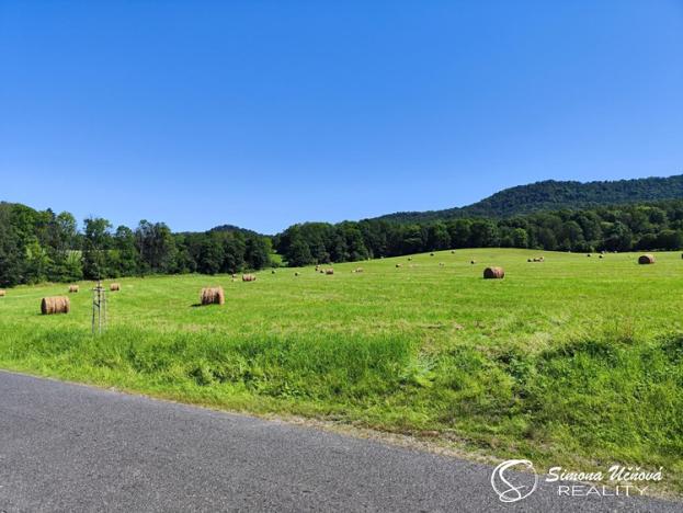 Prodej trvalého travního porostu, Třebušín, 74552 m2