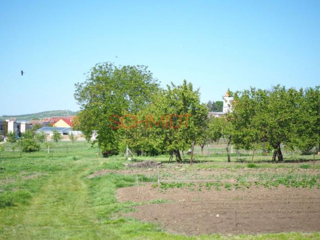 Prodej pozemku, Bořetice, 1872 m2