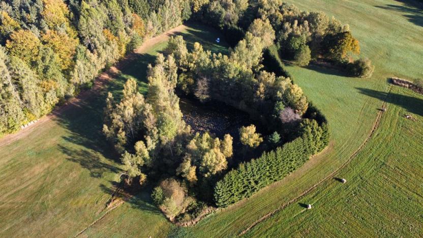 Prodej pozemku, Benešov nad Černou - Klení, 6805 m2