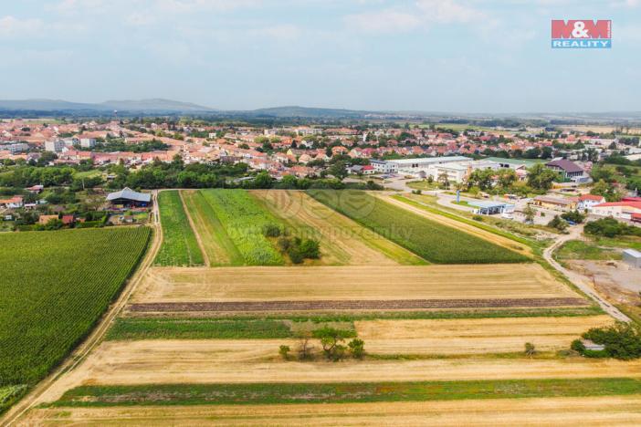 Prodej pole, Podivín, 2005 m2