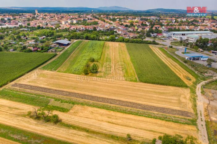 Prodej pole, Podivín, 2005 m2