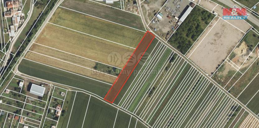 Prodej pole, Podivín, 2005 m2