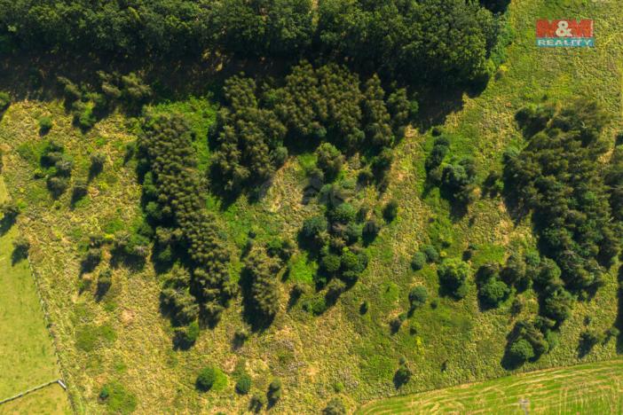 Prodej zemědělské usedlosti, Hracholusky - Obora, 301 m2