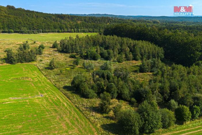 Prodej zemědělské usedlosti, Hracholusky - Obora, 301 m2