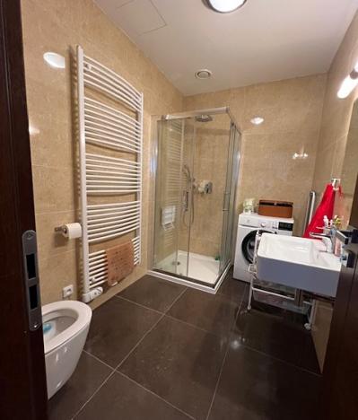 Prodej bytu 2+kk, Karlovy Vary, Chebská, 50 m2