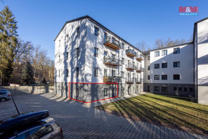 Pronájem obchodního prostoru, Cheb, Břehnická, 45 m2