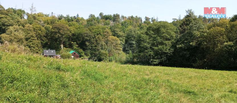 Prodej louky, Chyňava, 11196 m2