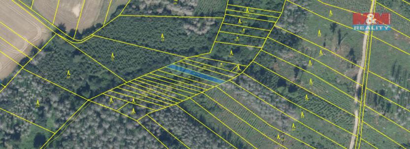 Prodej lesa, Havlíčkův Brod - Mírovka, 281 m2