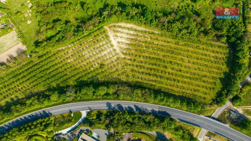 Prodej pole, Roudnice nad Labem, 10048 m2