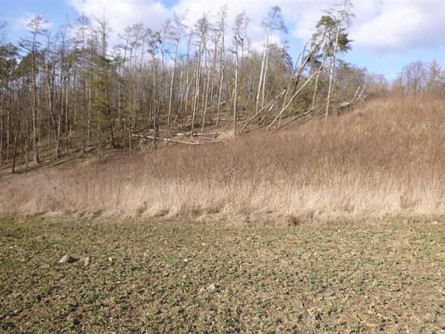 Dražba zemědělské půdy, Pyšely, 13755 m2