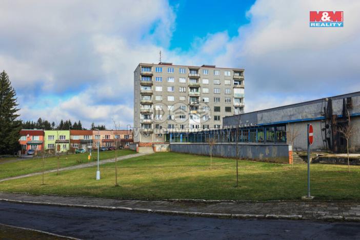 Prodej bytu 1+kk, Rovná, 20 m2