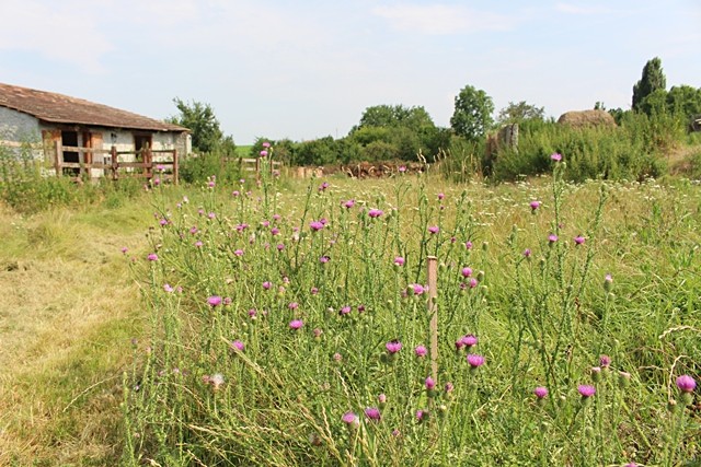 Prodej pozemku pro bydlení, Čelčice, 809 m2