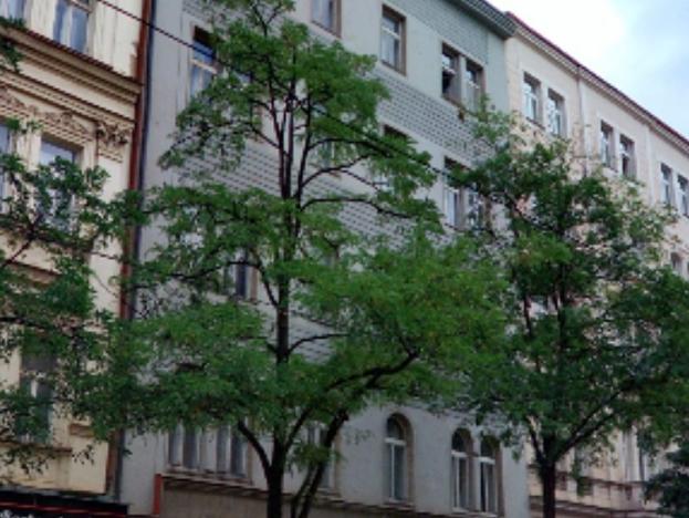 Prodej půdního prostoru, Praha - Vinohrady, Korunní, 200 m2