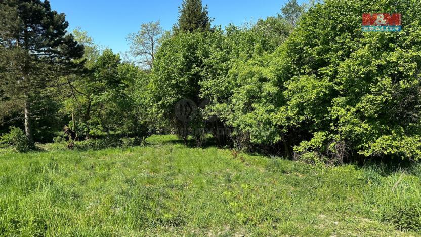 Prodej pozemku pro bydlení, Orlová - Poruba, 3247 m2