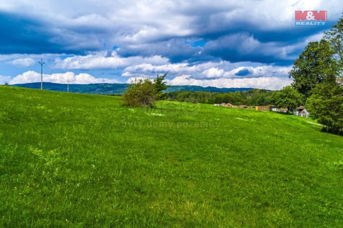 Prodej louky, Chotovice, 65153 m2