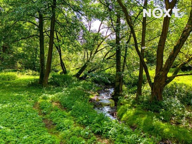 Prodej louky, Broumy, 4957 m2