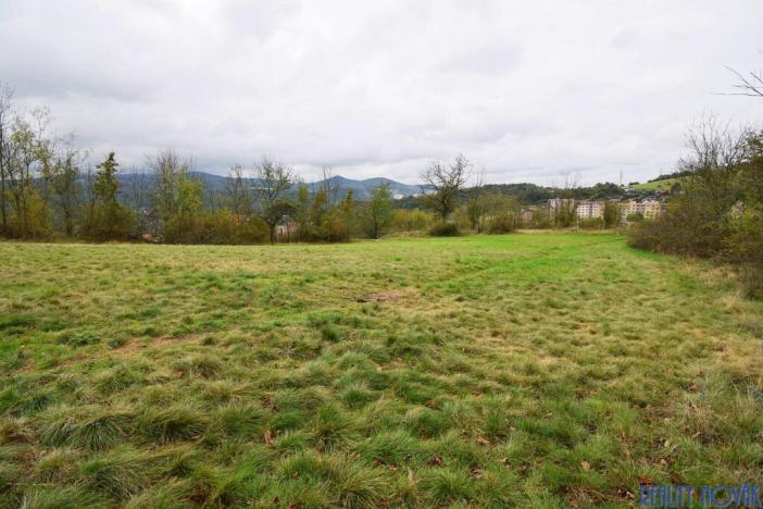 Prodej louky, Ústí nad Labem - Neštěmice, Na Skalce, 3966 m2