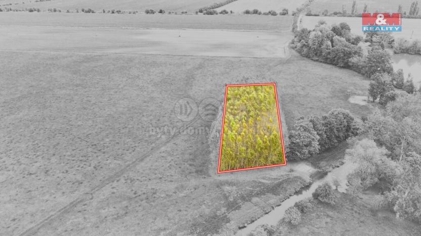 Prodej lesa, Skřivany, 1461 m2