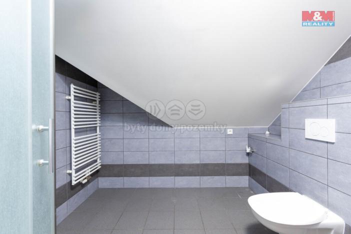 Prodej restaurace, Třemešná - Rudíkovy, 399 m2