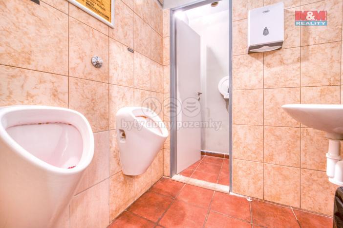 Pronájem obchodního prostoru, Plzeň - Jižní Předměstí, Americká, 102 m2