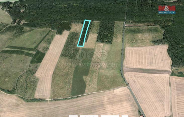 Prodej lesa, Řeřichy, 6619 m2