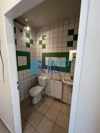Prodej rodinného domu, Vestec, Luční, 245 m2